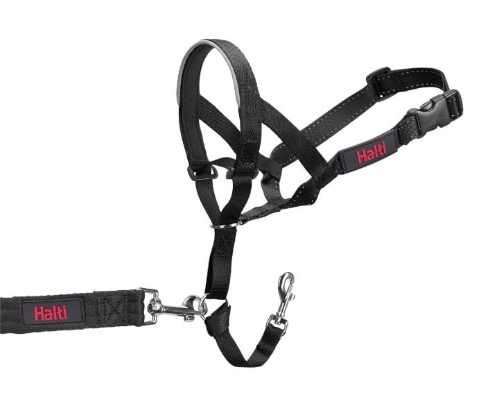 Halti Headcollar Black