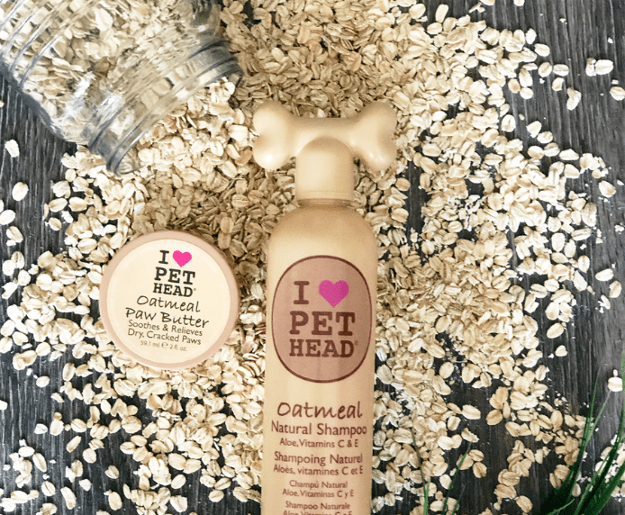 Pet Head Oatmeal Natural Shampoo and Oatmeal Paw Butter on some oats