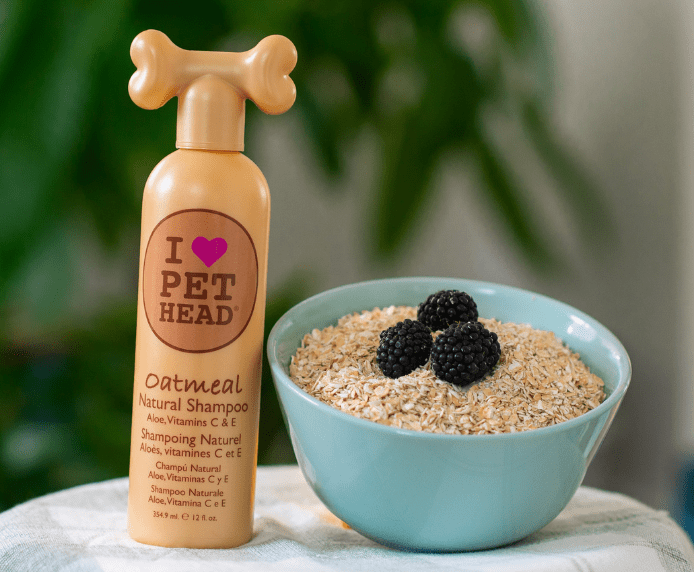 Pet Head Oatmeal Shampoo next to a bowl of oats