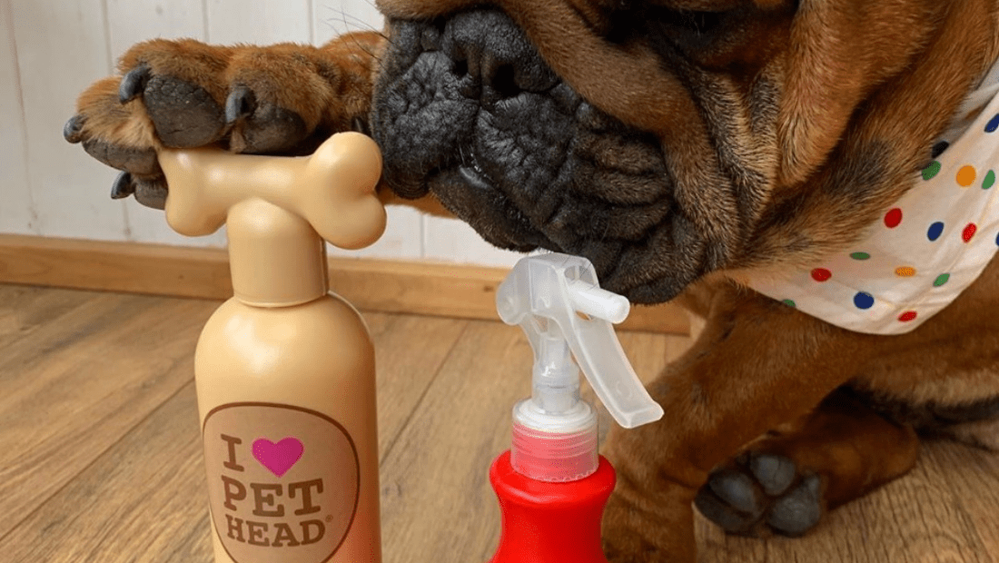 A dog trying to open a bottle of Pet Head!
