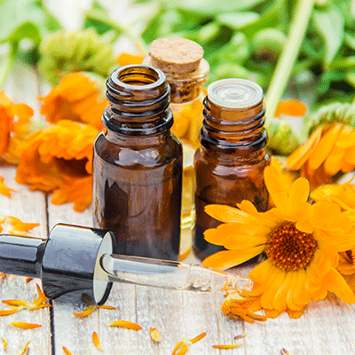 Extrait de calendula