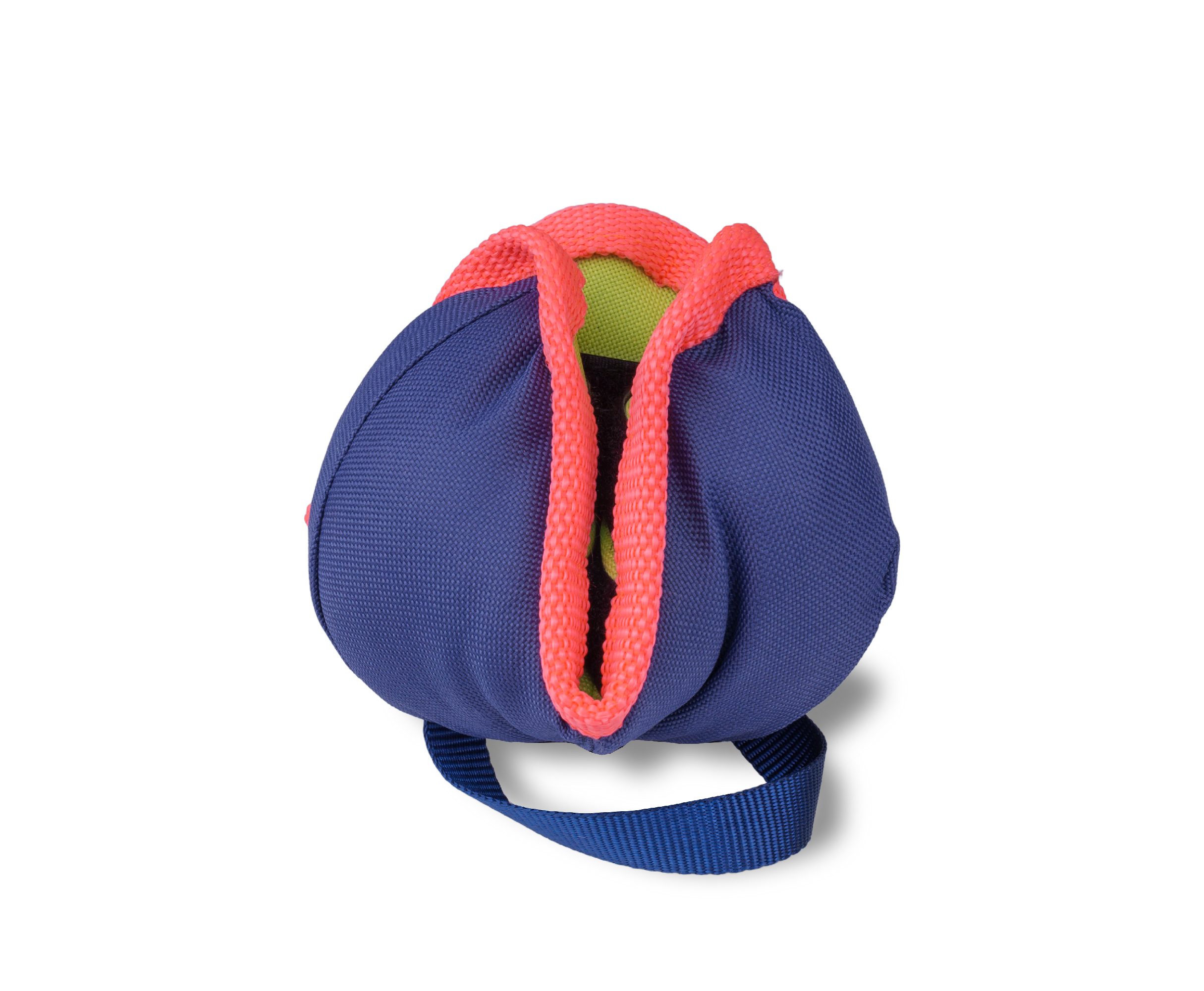 Chase and treat reward toy