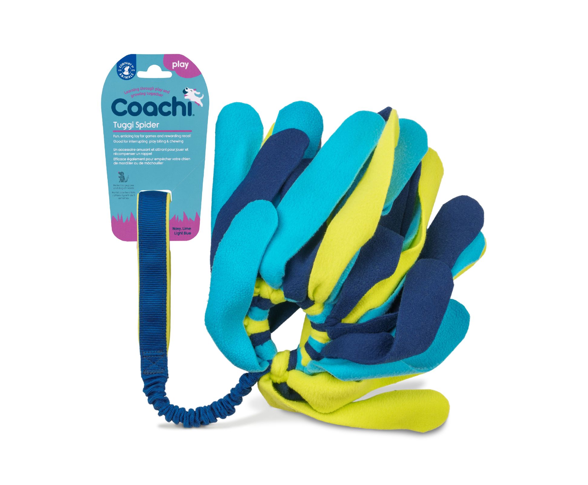 Tuggi Spider with packaging