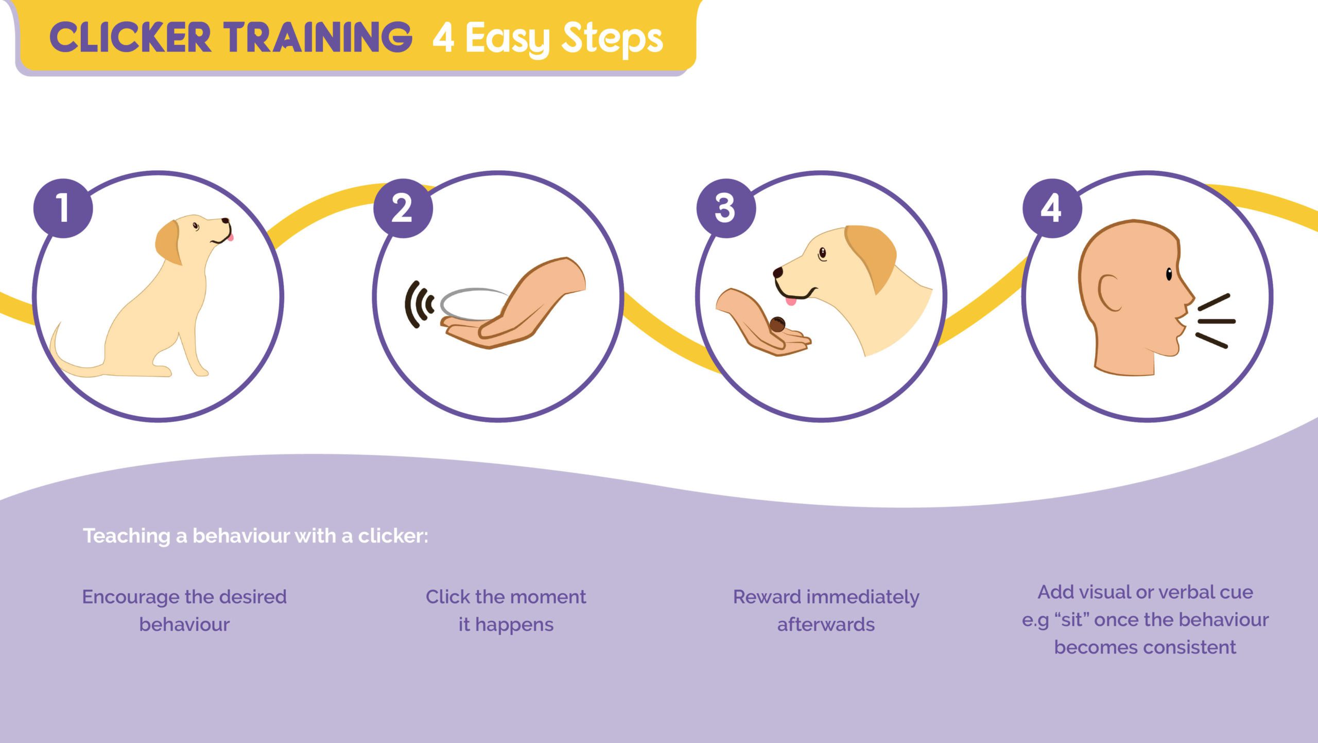 Clicker training - 4 easy steps