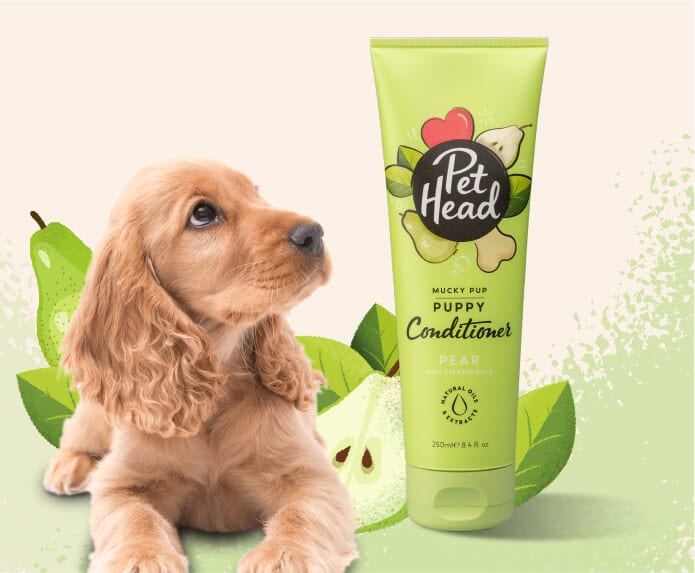 Product shot of the Pet Head Mucky Pup Conditioner with a cockapoo in the background