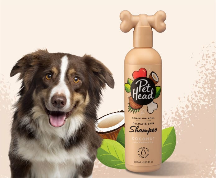 Product shot of the Pet Head Felin' Good shampoo next to a happy kitten