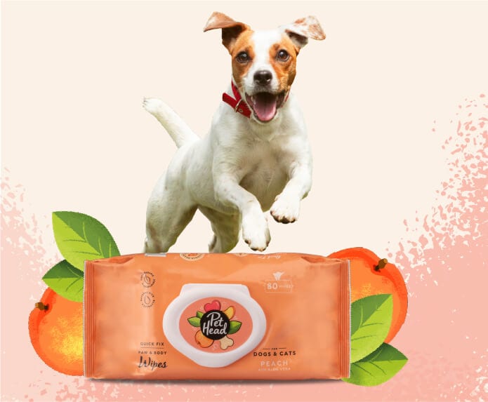 Pet head Quick Fix Wipes