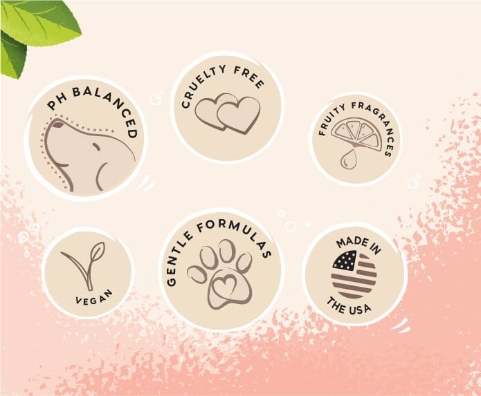 PH balanced, cruelty free, fruit fragrances, vegan, gentle formulas and Made in USA icons