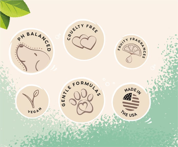 PH balanced, cruelty free, fruit fragrances, vegan, gentle formulas and Made in USA icons