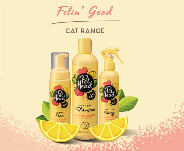 Product shots of the Pet Head Sensitive Soul range