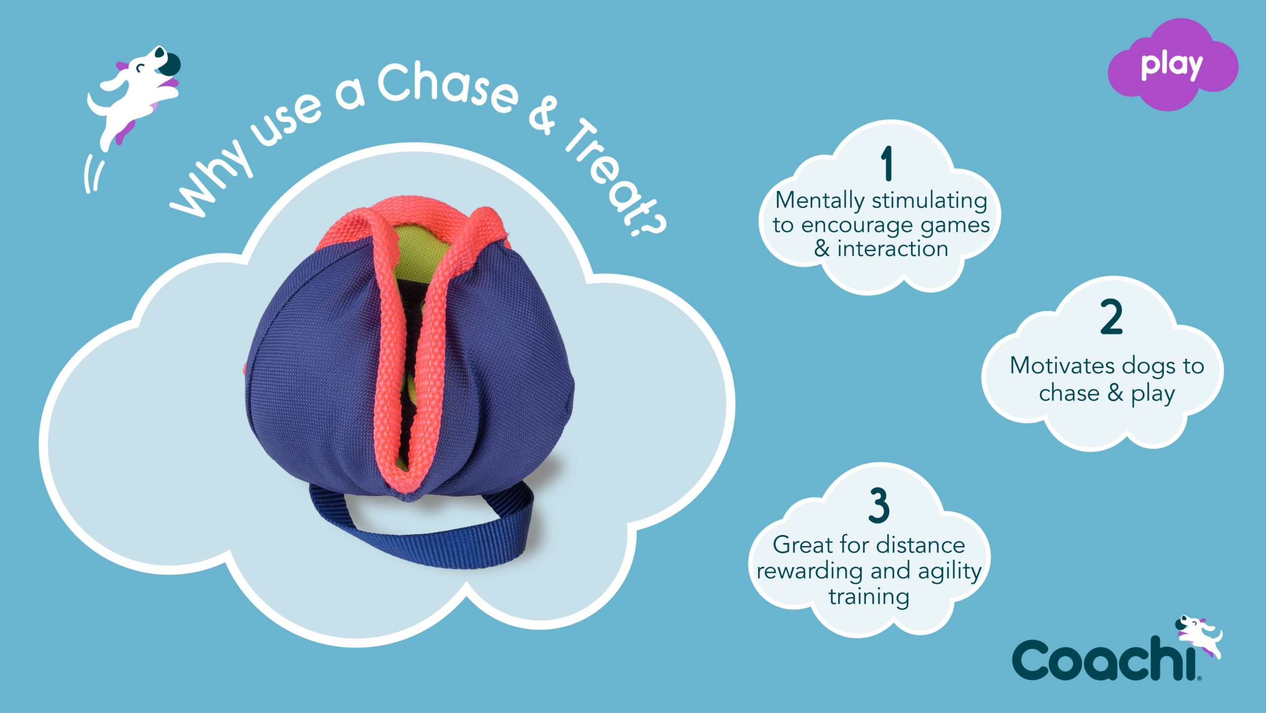 why chose a Chase and treat reward toy