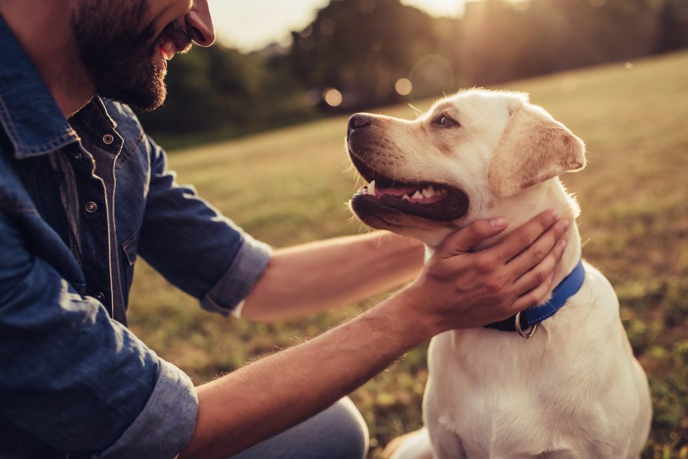 A picture of a dog with its owner, both radiating joy and highlighting the positive impact on their mental health