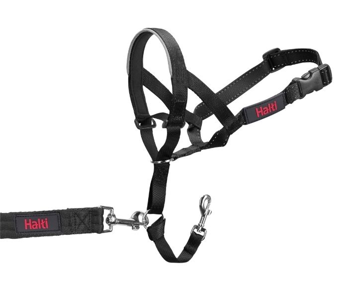 Halti Headcollar Black