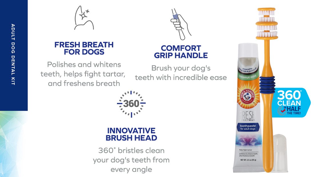 Features for Arm & Hammer Dental Kit