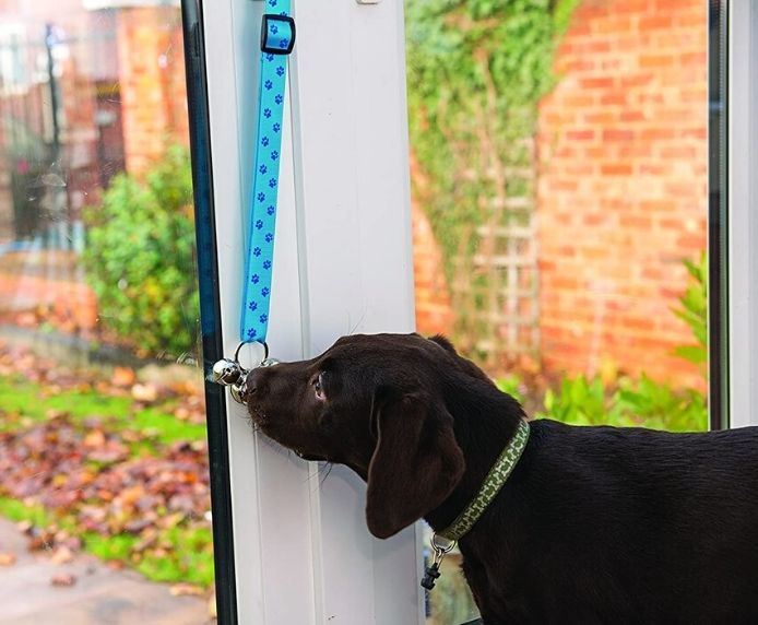 A dog using the Company of Animals Toilet Training Bells