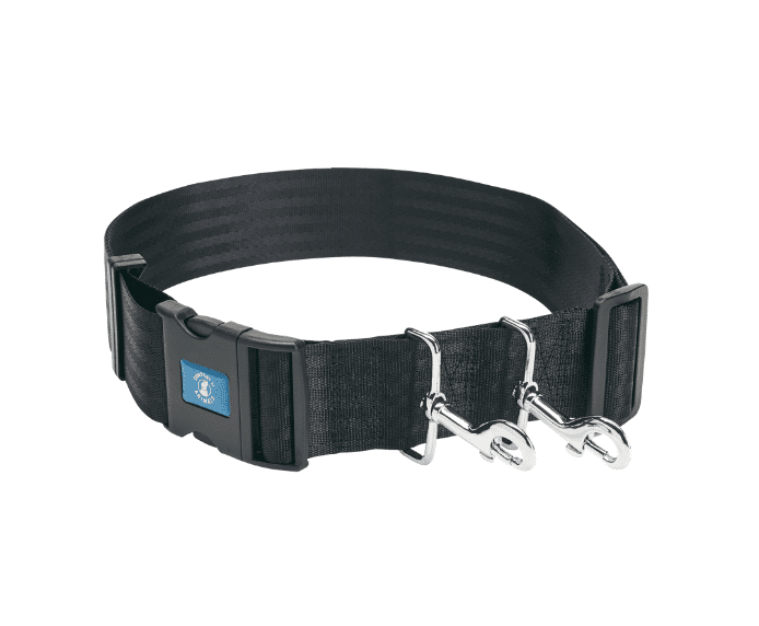 Company of Animals Hands Free Belt