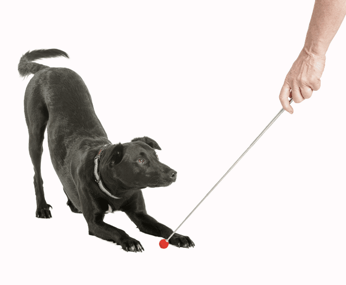 Company of Animals Target Stick