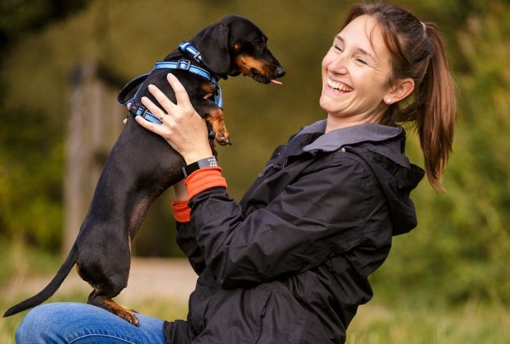 A dog wearing a Halti Walking Harness being held by a smiling woman