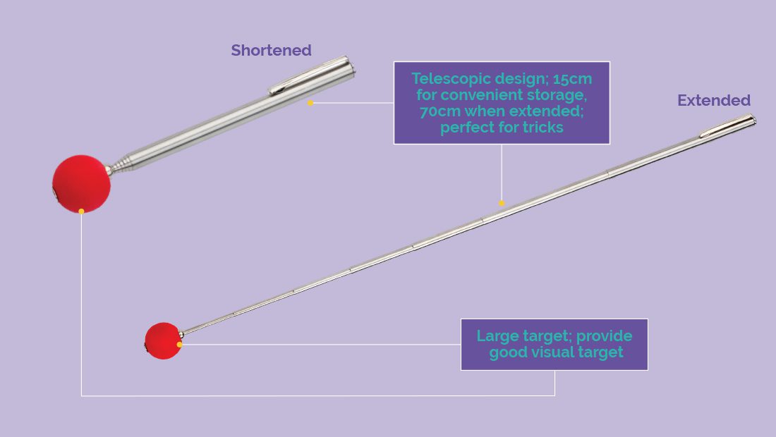 Features guide for the Company of Animals Target Stick.