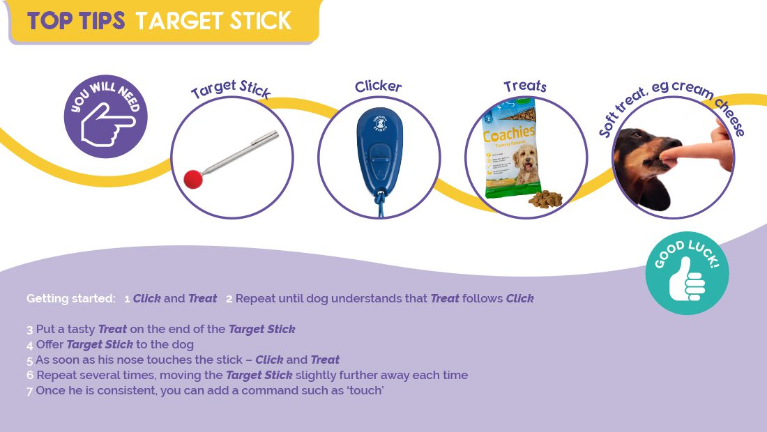 Top Tips for using the Company of Animals Target Stick.