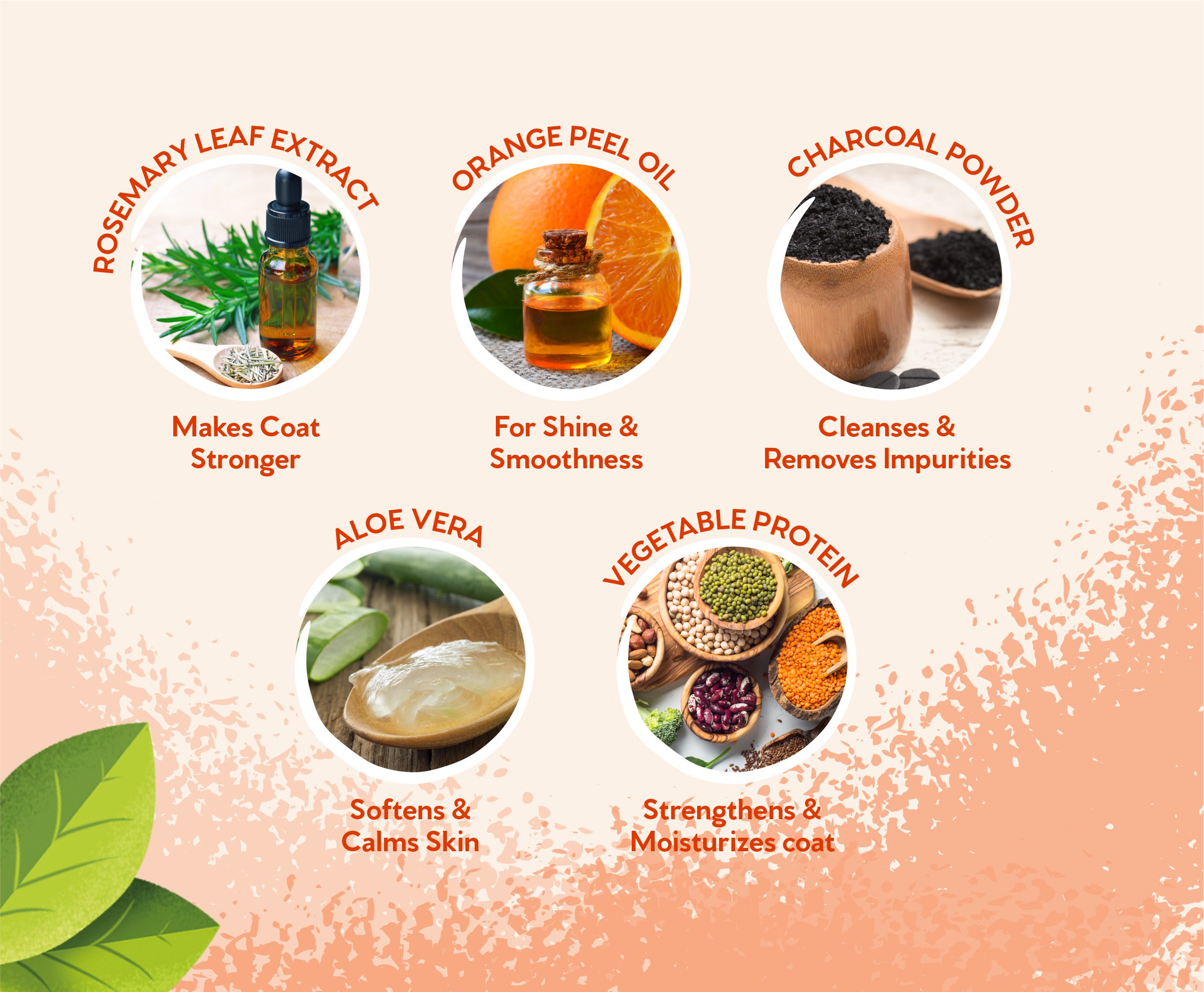 Rosemary leaf extract, orange peel oil, charcoal powder, aloe vera and vegetable protein icons