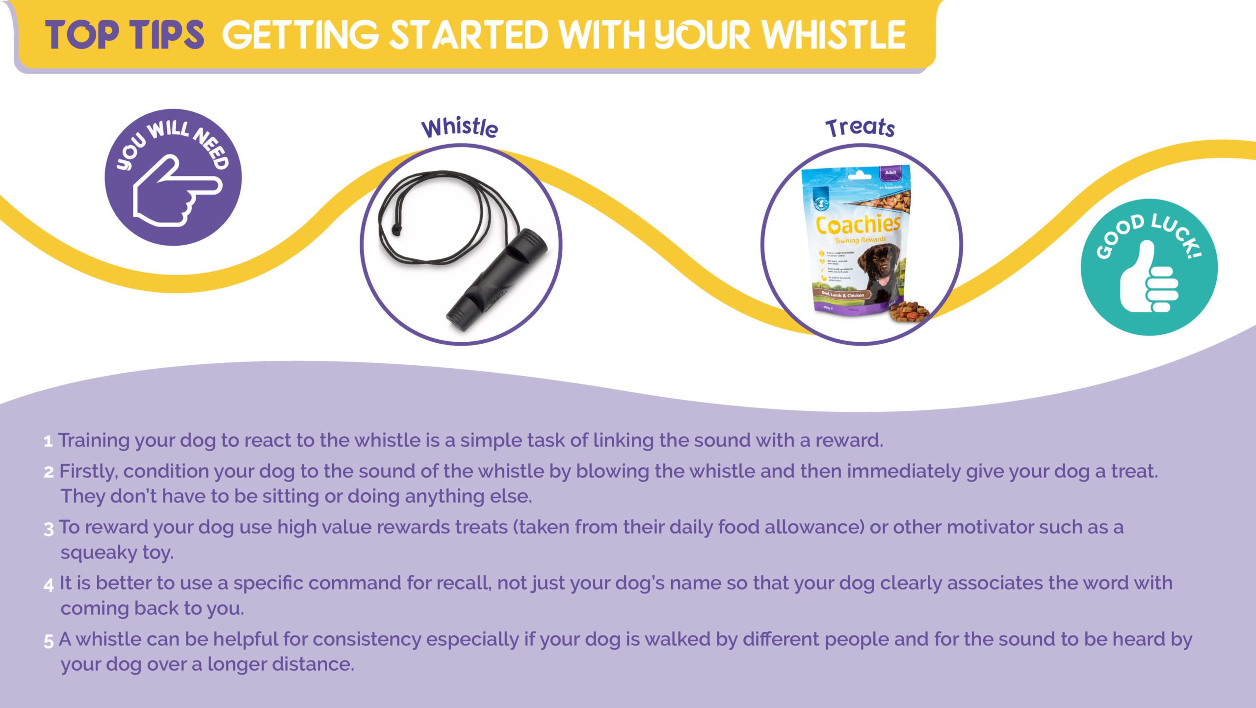 Top Tips - Getting started with your whistle