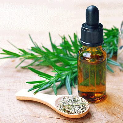 Rosemary Leaf Extract