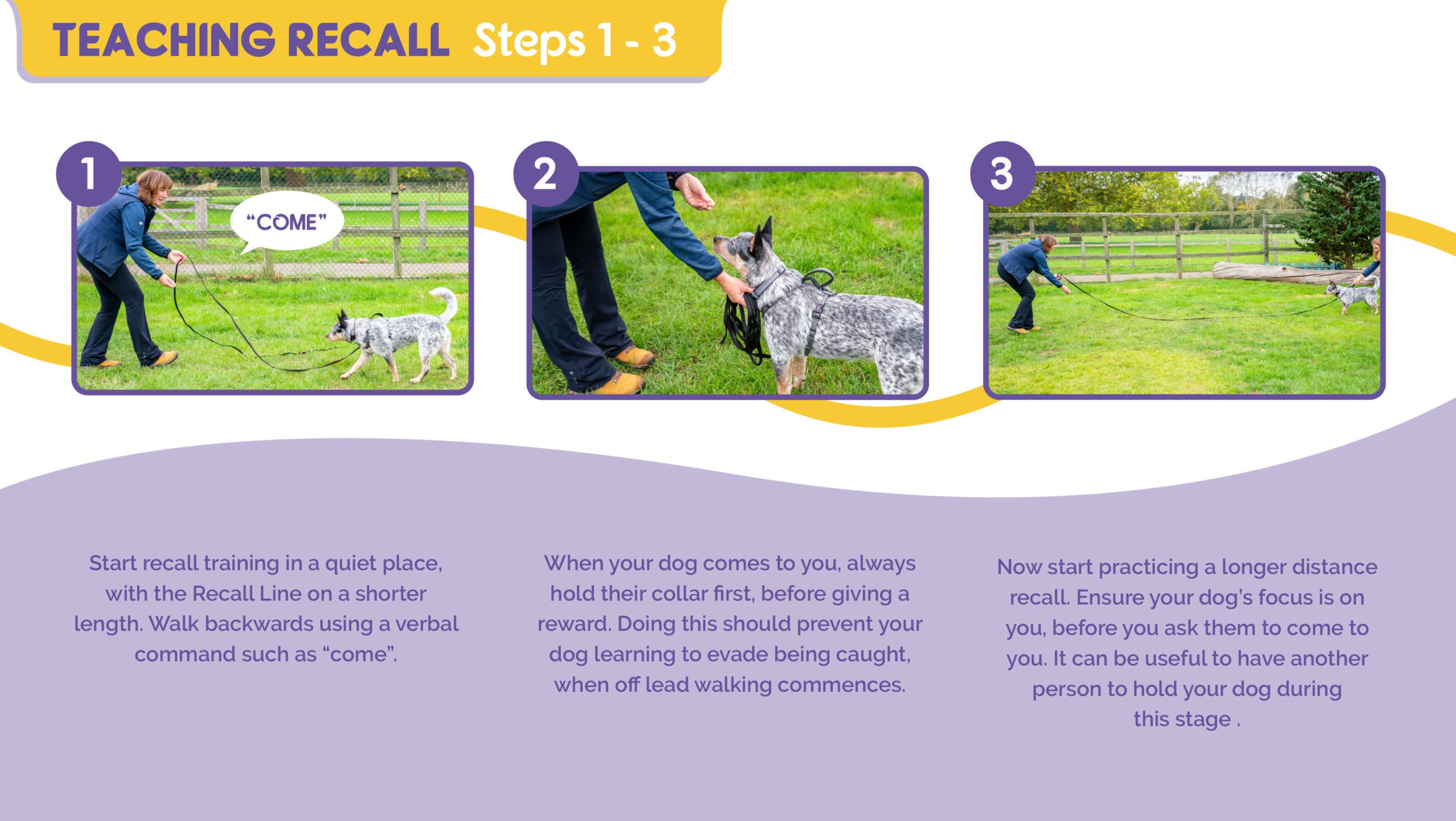 Teaching Recall Steps 1-3