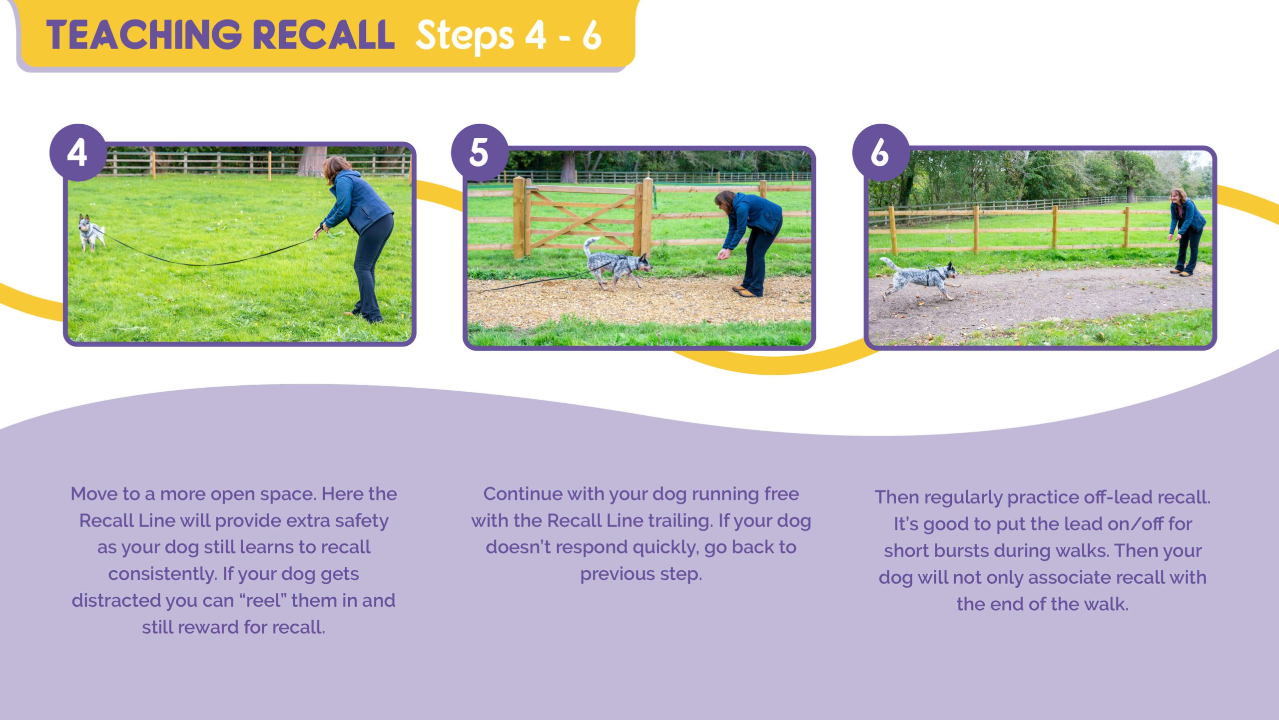 Teaching Recall steps 4-6