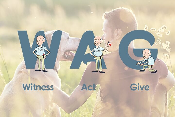 W.A.G icons (Witness, Act, Give)