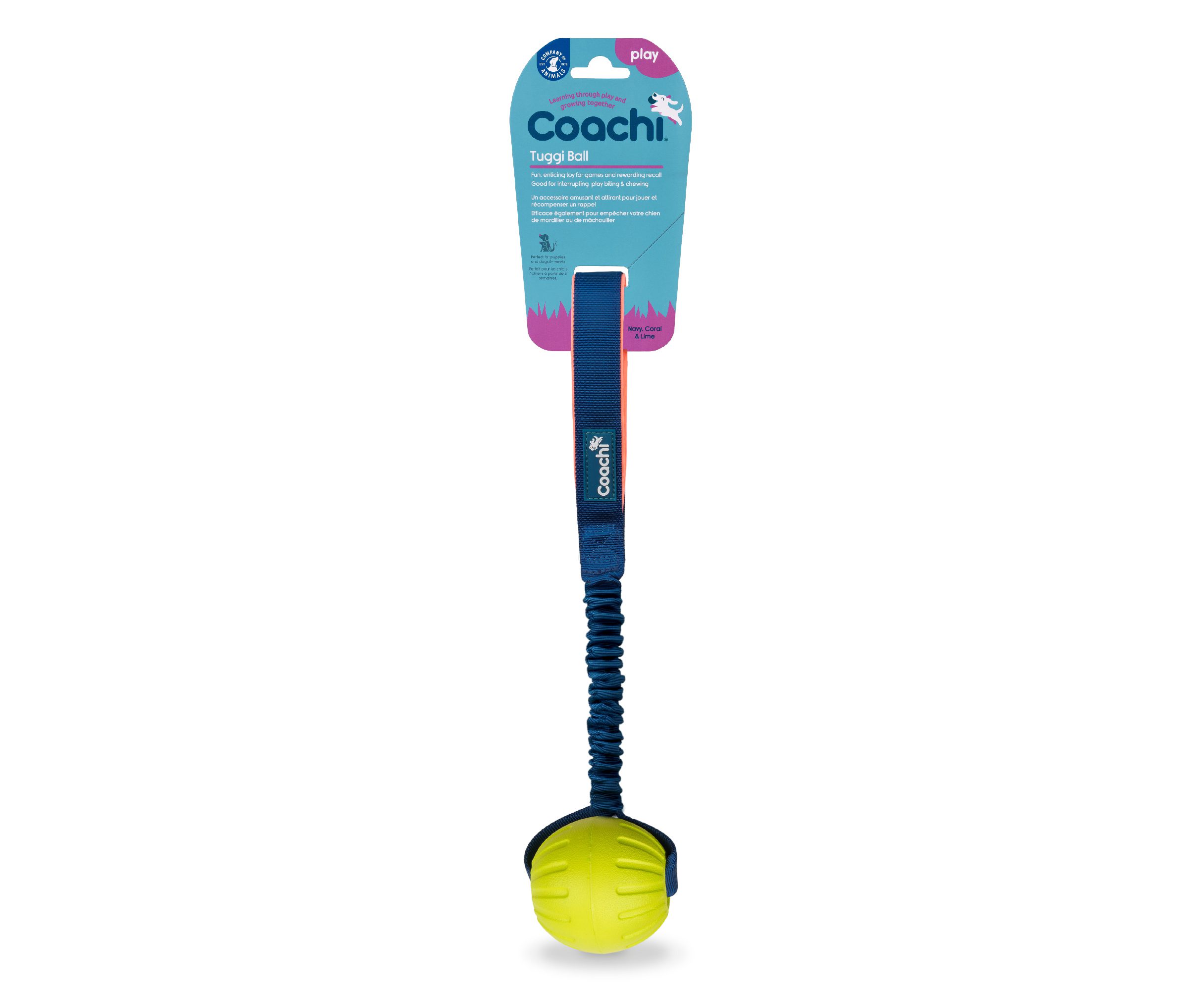 Tuggi Boy reward toy