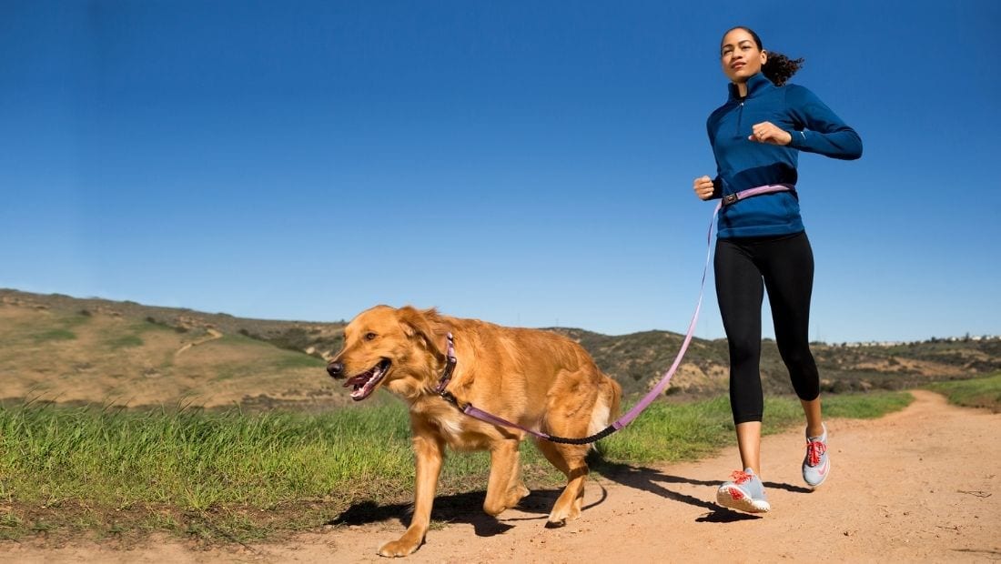A woman and her dog running through a trail wearing a Halti active lead