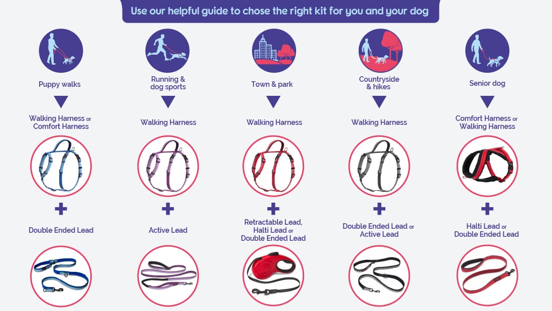 a which product is right for me guide to Halti walking products