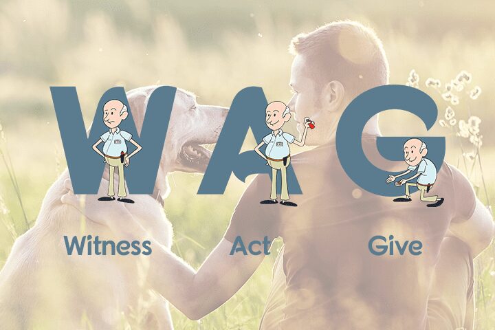 W.A.G icons (Witness, Act, Give)