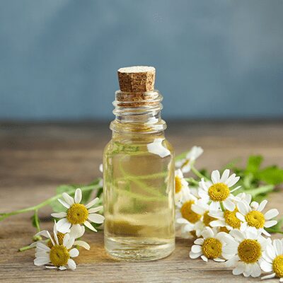 Chamomile Extract