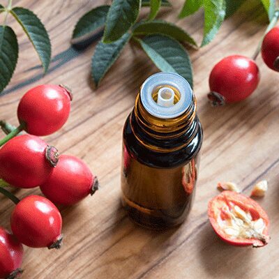 Rosemary Leaf Extract