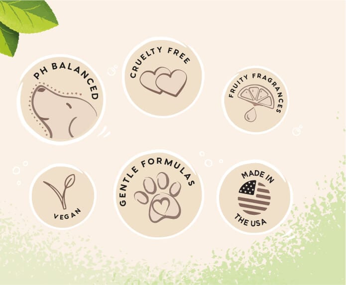 PH balanced, cruelty free, fruit fragrances, vegan, gentle formulas and Made in USA icons