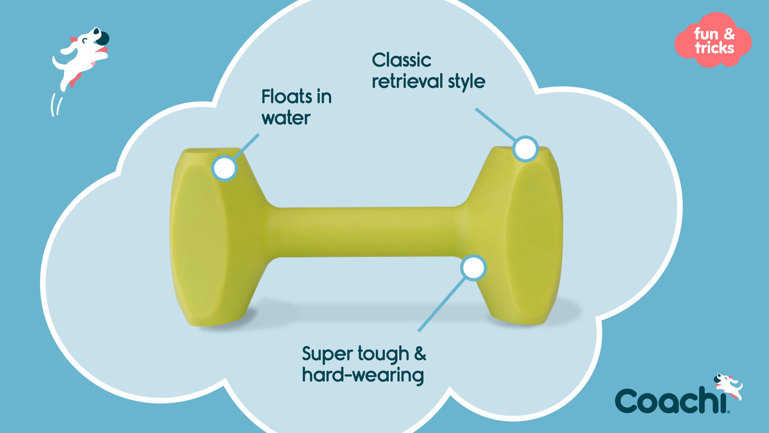 Dumbbell features