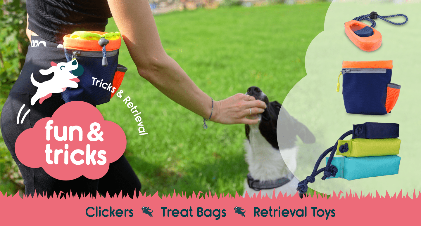 Product Category Fun & TricksCover Photo Products and a dog getting a treat