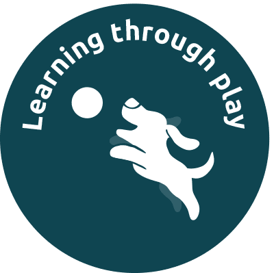 learning through play icon