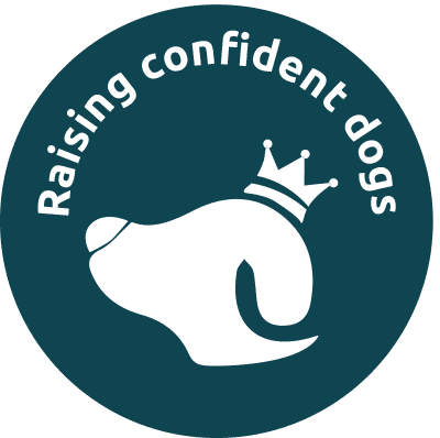 Raising confident dogs icon