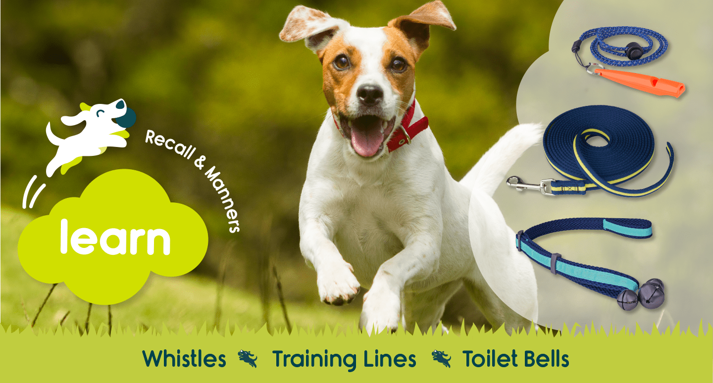 Product Category Learn Cover Photo Products and a Dog Jumping