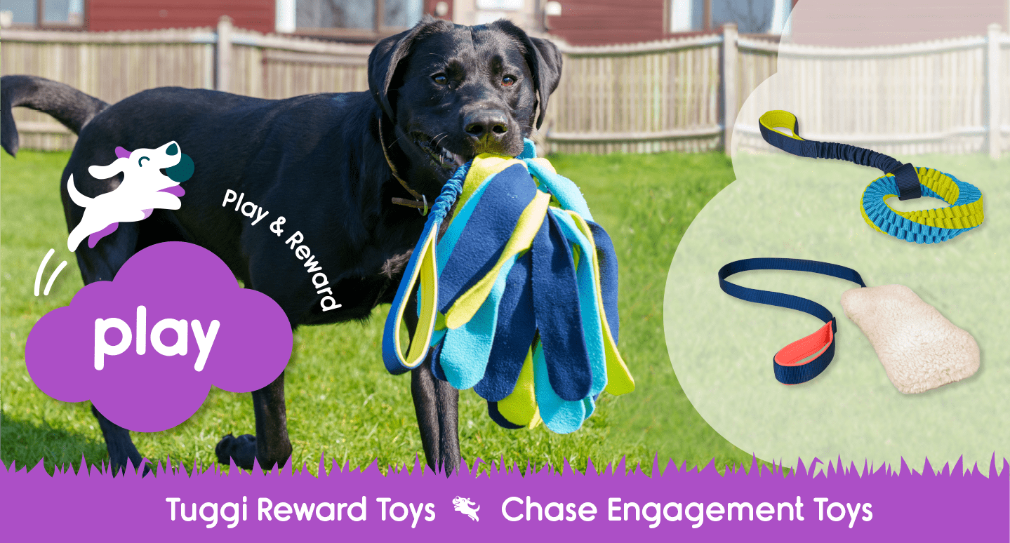 Product Category Play Cover Photo Products and a Dog Playing