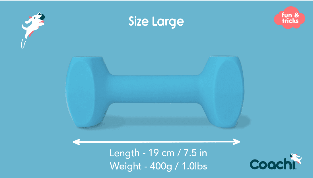large size 19cm and weight 400g
