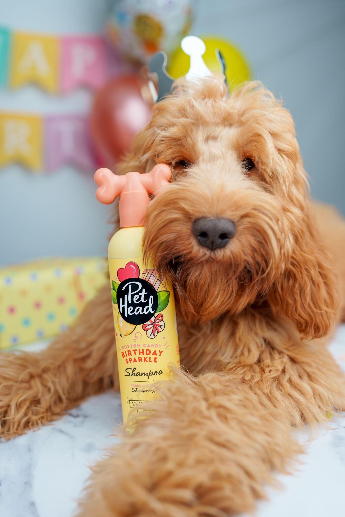 Pet Head Shampoo Bottle – A vibrant Pet Head shampoo bottle with a signature bone-shaped cap